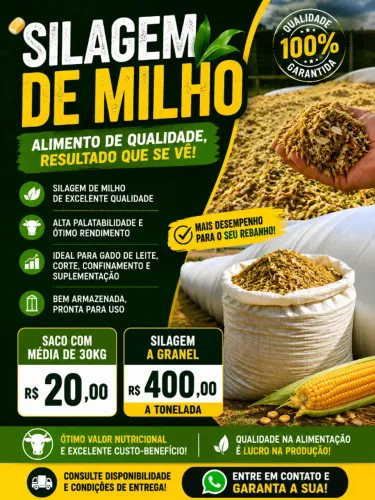 Silagem de Milho Premium - Alta Qualidade e Ótimo Preço