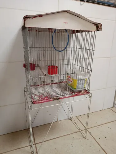 Gaiola média 