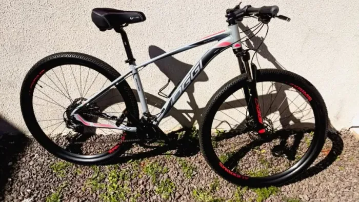 BIKE OGGI Big Wheel 7.0 - Aro 29 - Quadro 17? ?