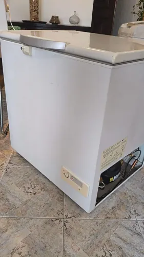 Freezer Electrolux