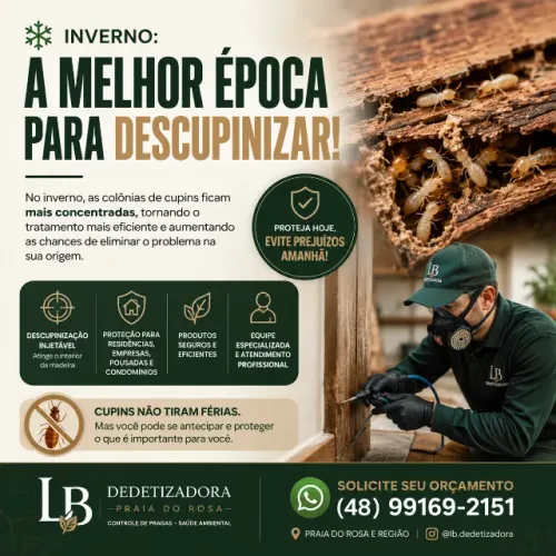 Descupinização injetável | Tratamento Anti Cupim