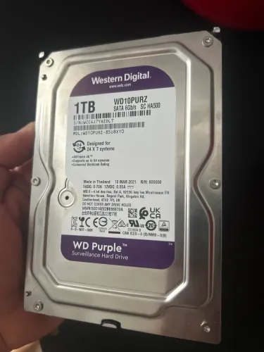 HD wd Purple 1 TB