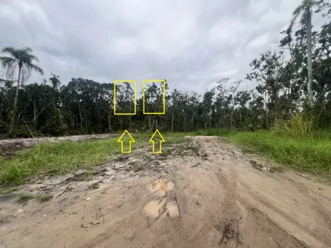 LOTE / TERRENO A VENDA EM MATINHOS PRAIA GRANDE 450m2 CADA
