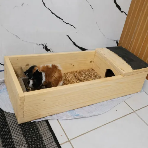 Casinhas para pet e playground
