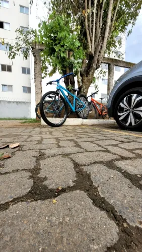 Bike para grau