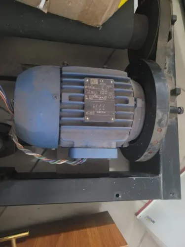 Motor indução gaiola WEG