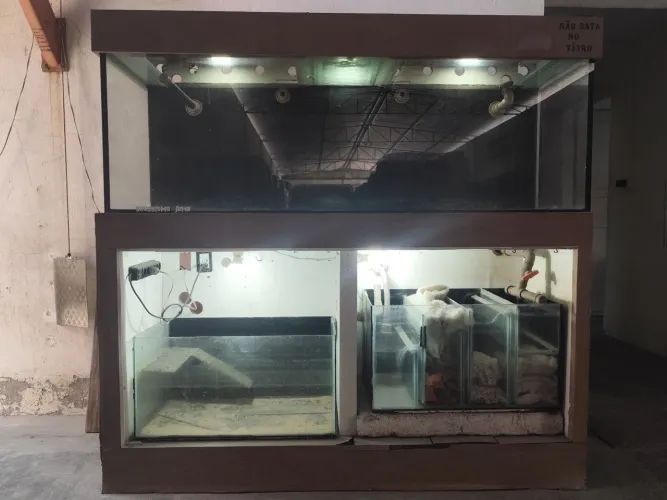 AQUARIO 500L COMPLETO