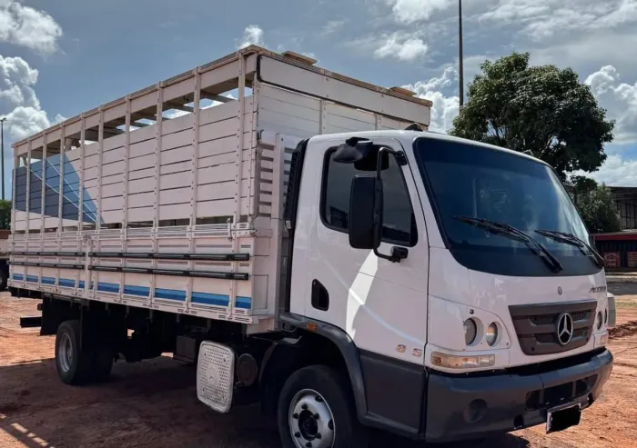 Accelo 815 carroceria Boiadeira Ano 2016