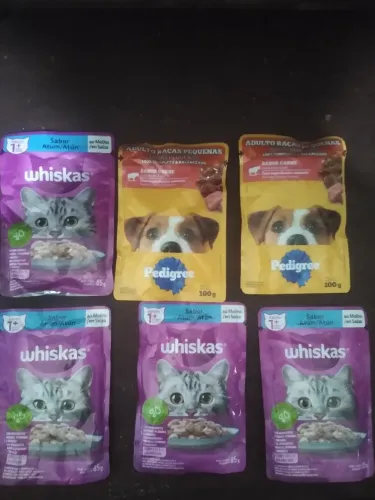 Sachês de alimento para animais