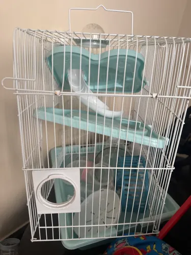 Gaiola hamster/ coelho