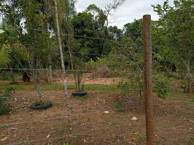 ? CHÁCARA À VENDA - KM 39 DA RAPOSO TAVARES | COTIA/SP ?
