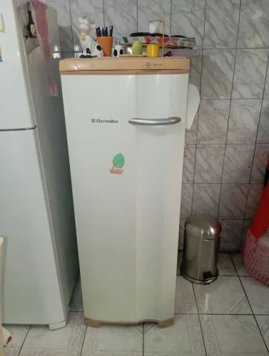 Freezer vertical