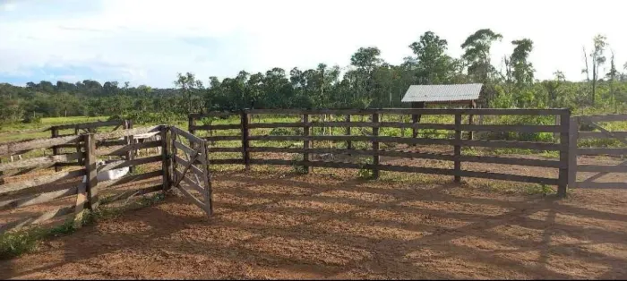 FAZENDA À VENDA - REGIÃO DO CANTÁ/RR