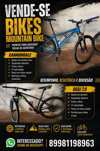Bike 29