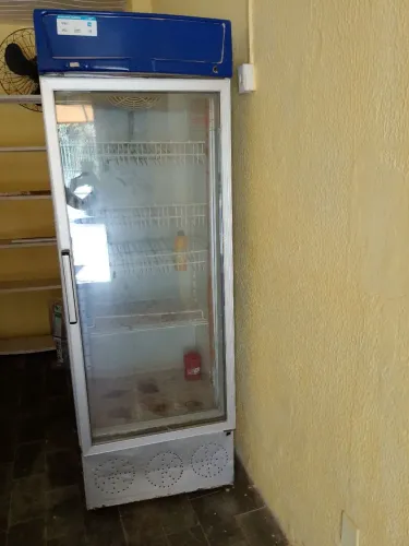 Freezer vertical