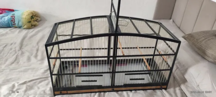 Voador 60cm, Malha fina 