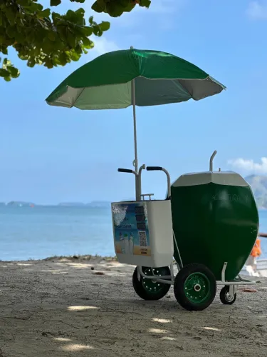 Carrinho de coco térmico (semi novo)