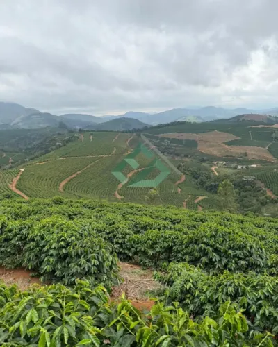 Fazenda à Venda | Manhuaçu/MG