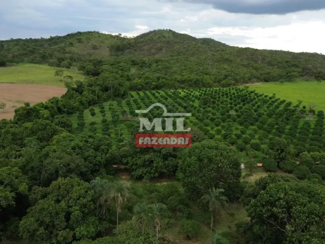 Chácara 8 alqueires ( 38,72 hectares ) Aparecida de Goiânia - GO