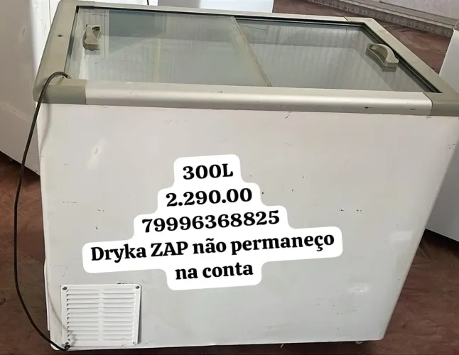 Freezer expositor 300L