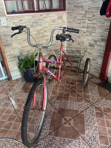 Bicicleta Triciclo