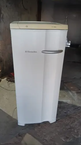 Freezer vertical