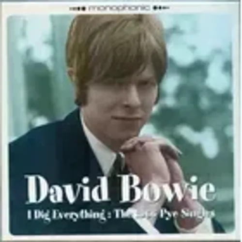 Cd David Bowie I Dig Everything: The 1966 Pye Singles