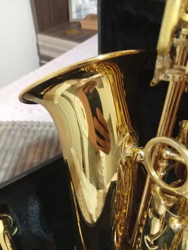 Sax alto curvo eagle 501