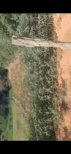 Vendo terreno localizado no povoado de vila nova carai MG 25 mil