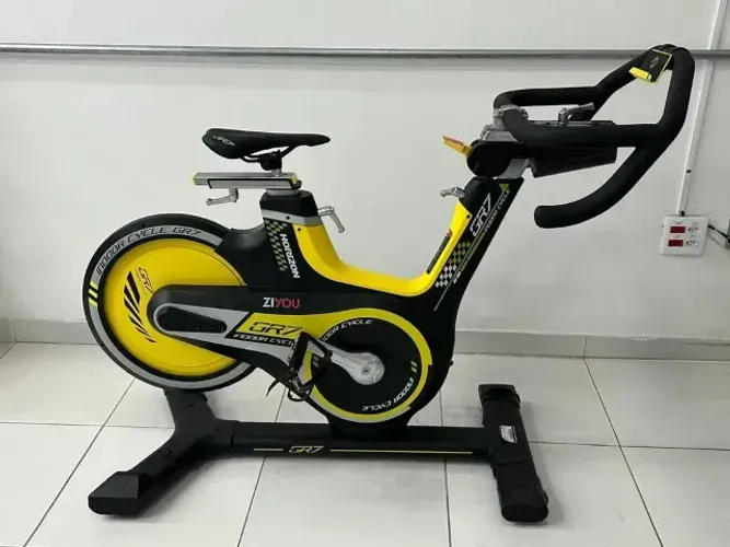 Bicicleta Spinning Horizon Fitness Gr7 Excelente Estado