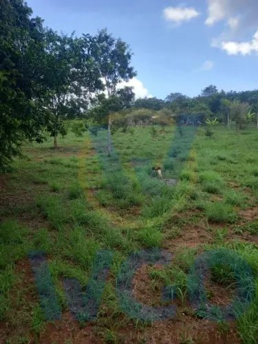 Chácara para Venda em Pirenópolis, ZONA RURAL, 1 dormitório, 1 banheiro, 2 vagas