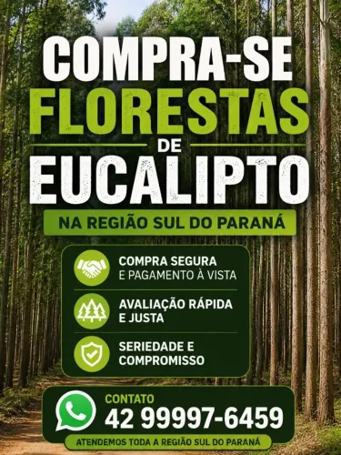 Florestas de eucalipto 