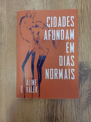 Cidades Afundam em Dias Normais