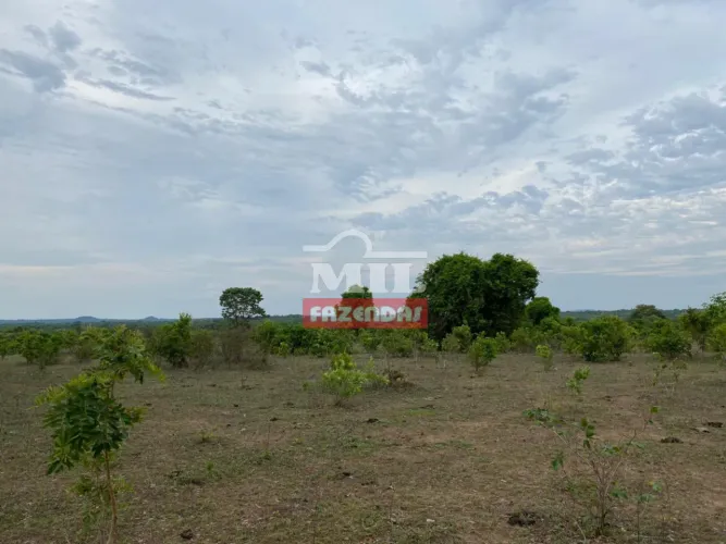 Fazenda 541 Alqueires (2.625 hectares) Dois Irmãos - TO