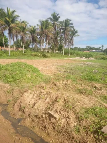Terreno míni chácara