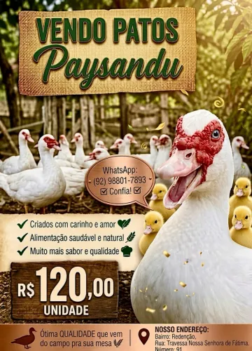 Patos Paysandu 120