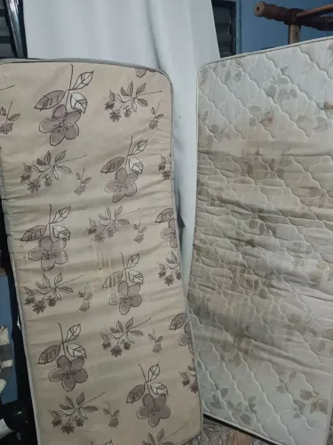 Cama 
