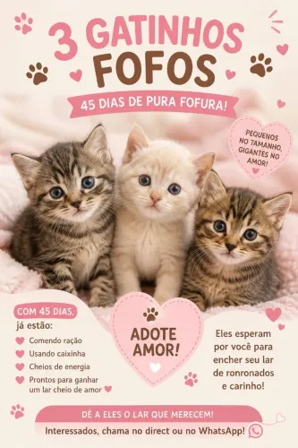Doação responsável