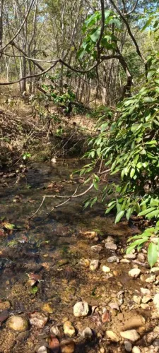 Vendo terreno com muita área verde, belíssimo corrego aos fund ,a 13 km na regiao da serra