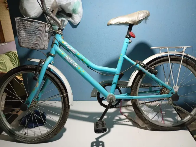 Bicicleta