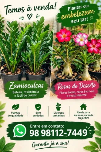 Plantas a venda 