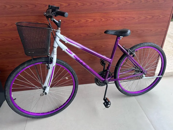 Bicicleta Aro 19