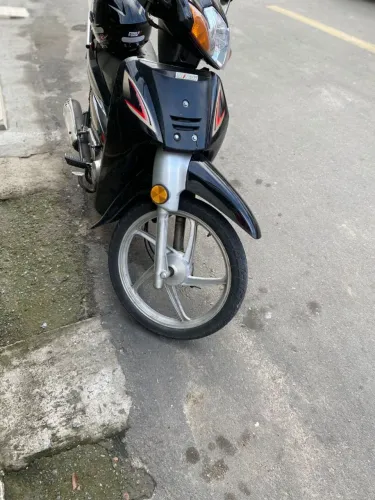 Vendo uma fênix 