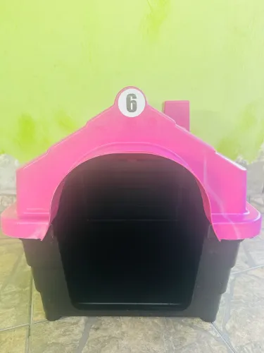 CASINHA CACHORRO