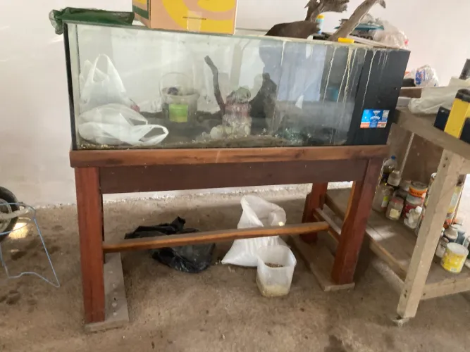 Aquario 400L + movel madeira Lei