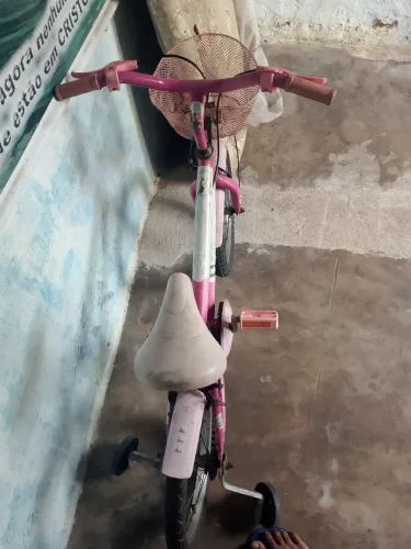 Baik feminina