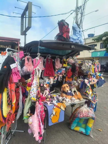 Roupas pet