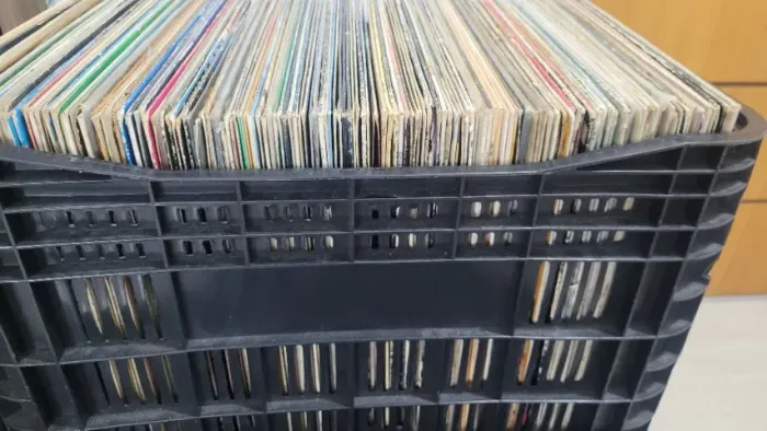 Encha sua estante com uma coleção de mais de 200 discos de vinil LPs antigos