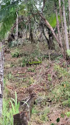 Terreno à venda, 80 m² por R$ 85.000 - Litoral Norte - Jandaíra/BA