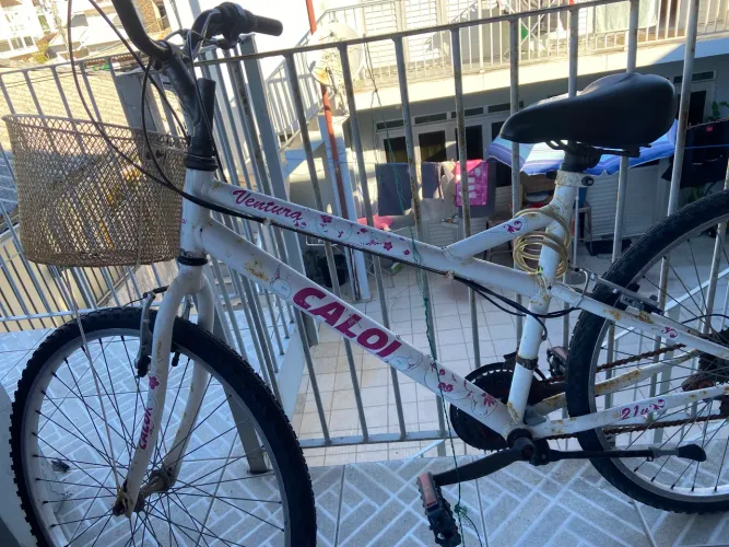 Bicicleta caloi